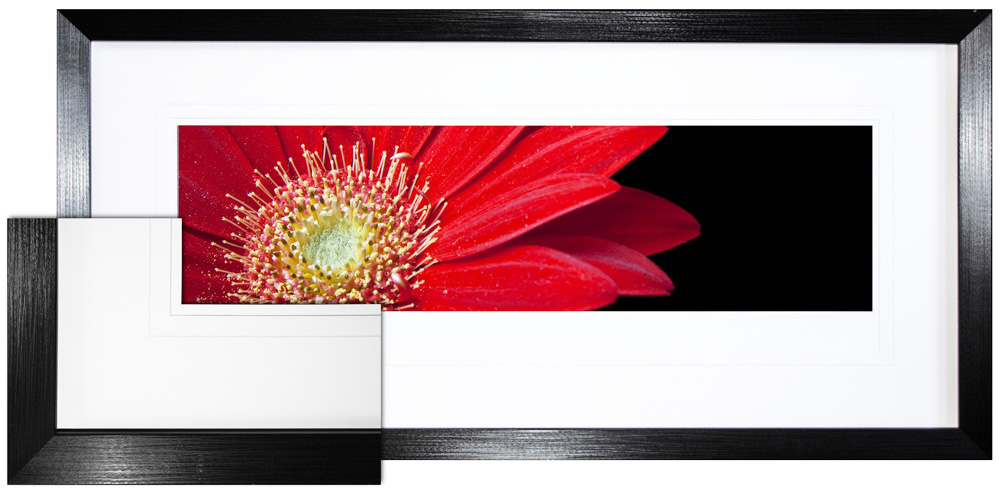 FP081 Wall décor art framed print floral black frame